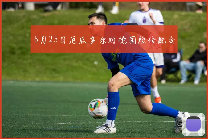 6月25日厄瓜多尔对德国短传配合