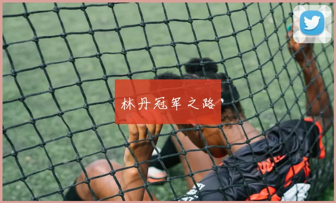 林丹冠军之路