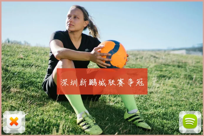 深圳新鹏城联赛争冠