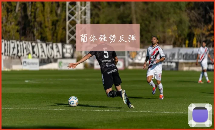葡体强势反弹