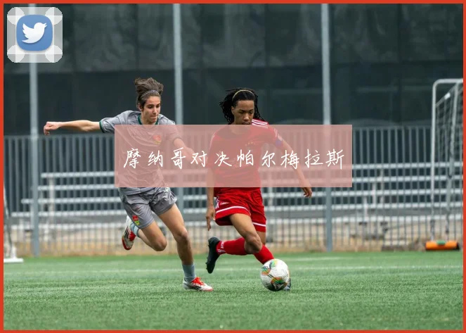 摩纳哥对决帕尔梅拉斯
