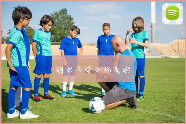 胡尔卡奇全场高燃