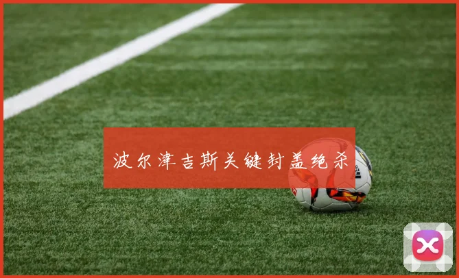 波尔津吉斯关键封盖绝杀