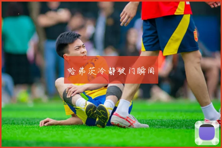 哈弗茨冷静破门瞬间