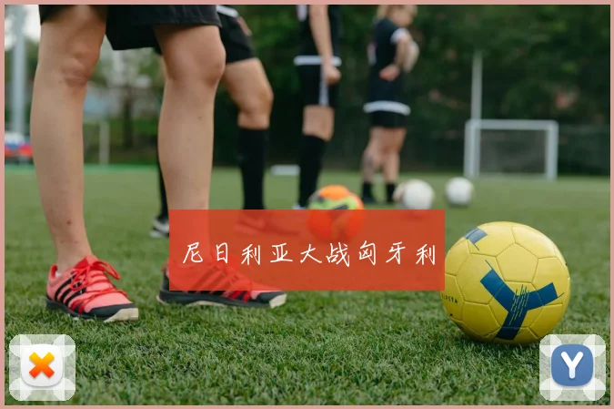 尼日利亚大战匈牙利