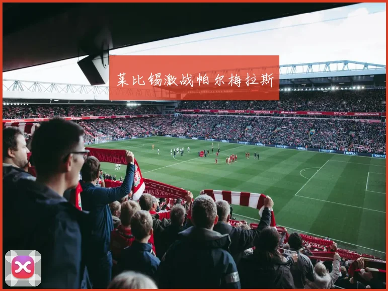 莱比锡激战帕尔梅拉斯