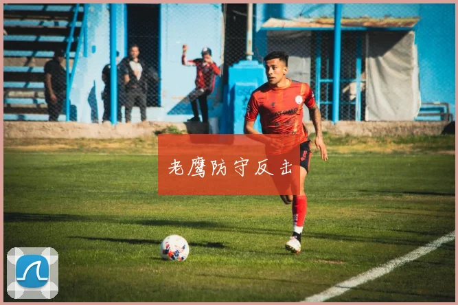 老鹰防守反击
