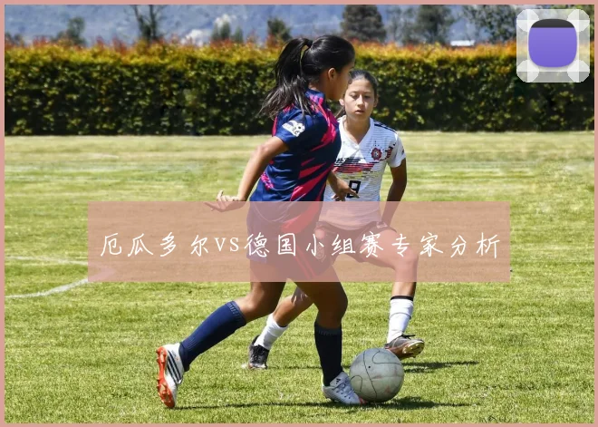 厄瓜多尔vs德国小组赛专家分析