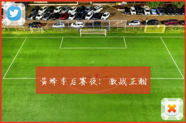 黄蜂季后赛夜：激战正酣