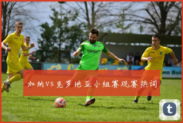 加纳vs克罗地亚小组赛观赛热词