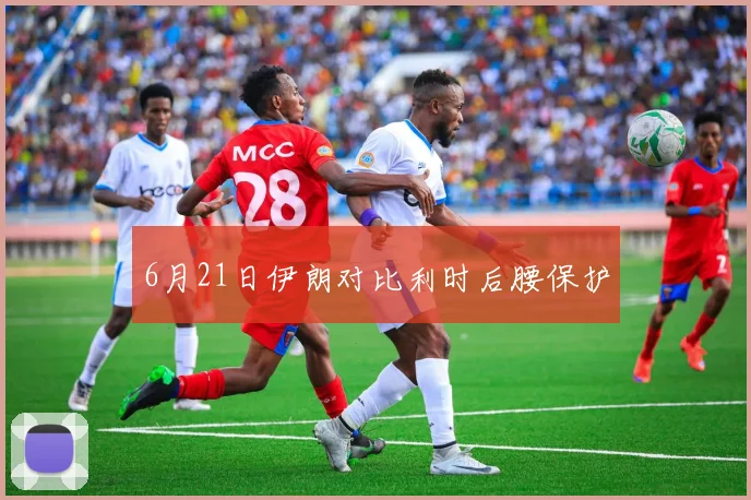 6月21日伊朗对比利时后腰保护