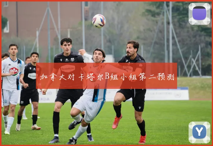 加拿大对卡塔尔B组小组第二预测