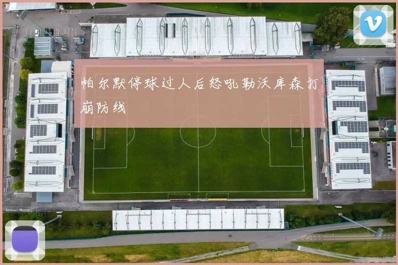 帕尔默停球过人后怒吼勒沃库森打崩防线