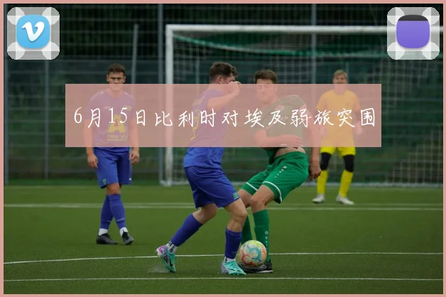 6月15日比利时对埃及弱旅突围