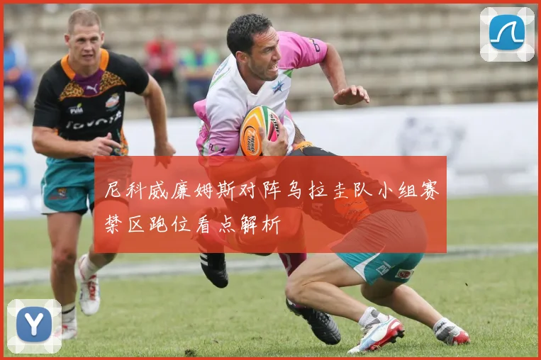 尼科威廉姆斯对阵乌拉圭队小组赛禁区跑位看点解析