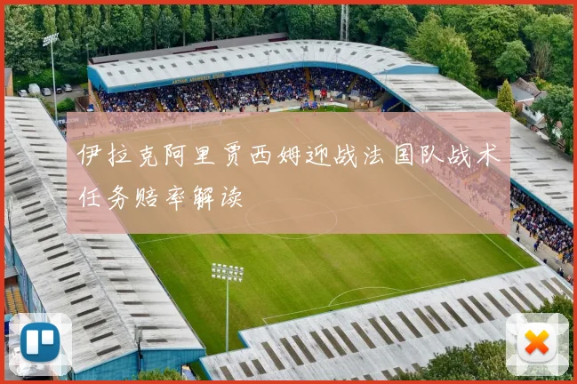 伊拉克阿里贾西姆迎战法国队战术任务赔率解读